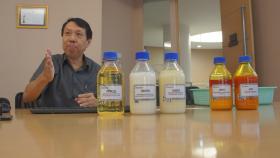 Цены на пальмовое масло в Малайзии продолжат расти в течение года